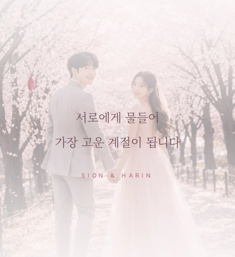 블라썸 모바일 청첩장 디자인 문구 띠 화면